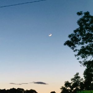 Meet your Posher, Chandani